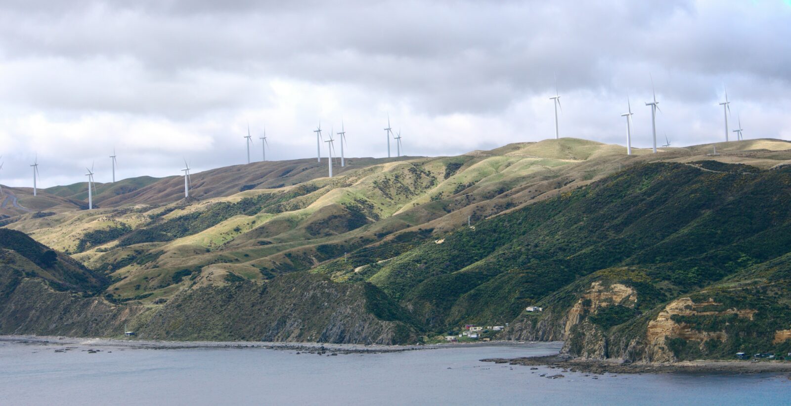 Wind turbines at Makara Beach, Wellington, New Zealand. Photo by Nate Watson on Unsplash