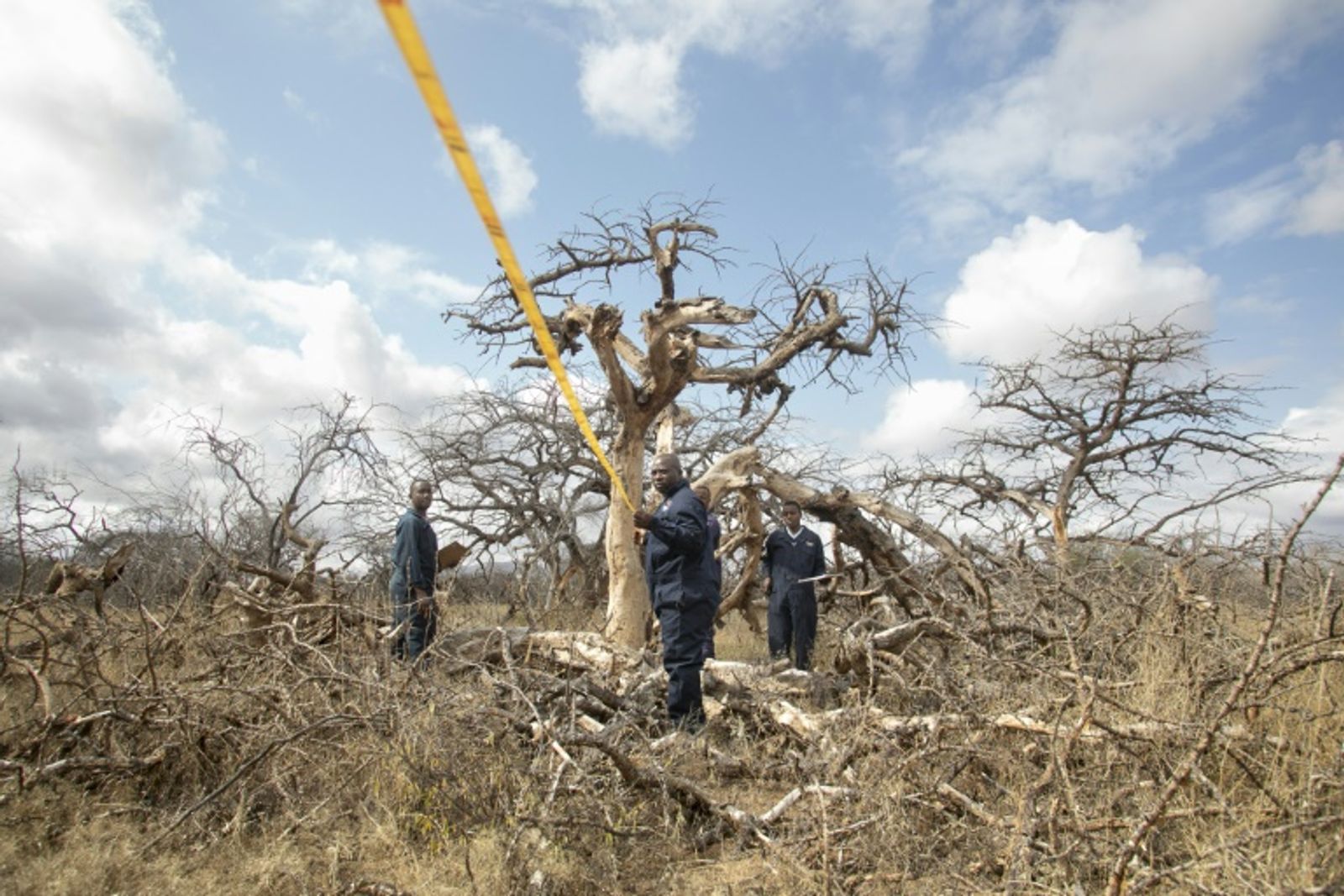 Carbon credits are generated by activities that reduce or avoid planet-heating greenhouse gas emissions, like planting trees or replacing polluting coal with clean-energy alternatives (AFP)