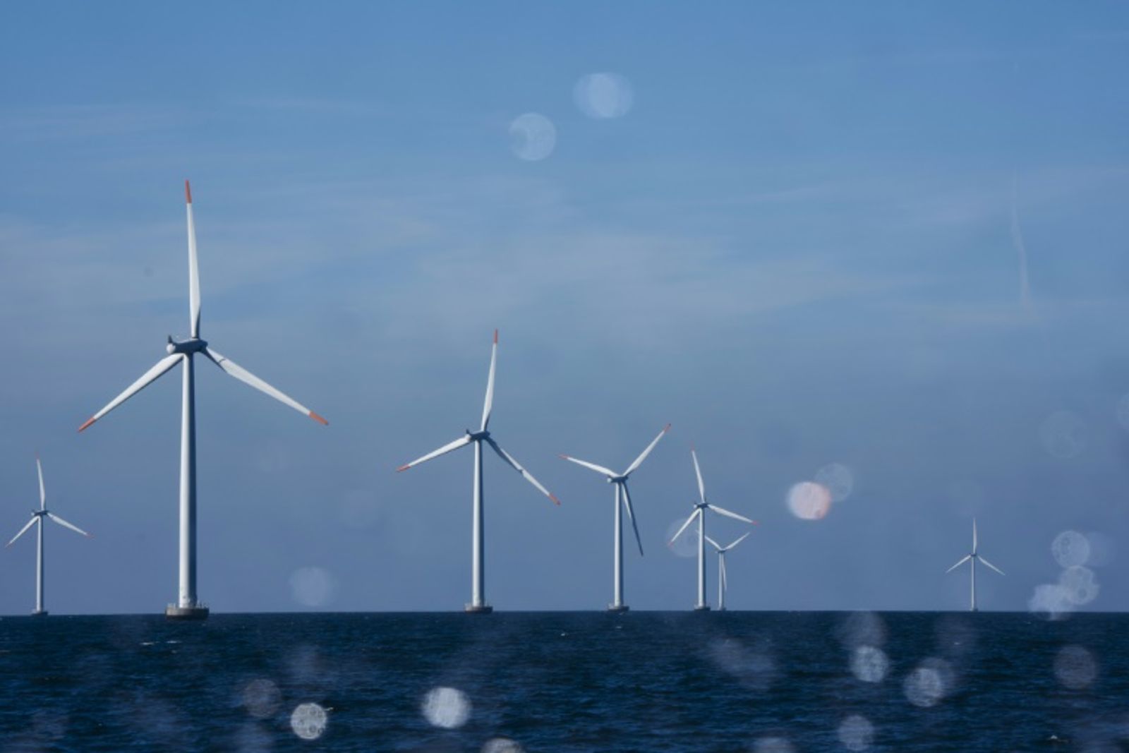 Orsted was dealt a $4 billion blow last year when it cancelled wind farm projects in the United States (Ritzau Scanpix)